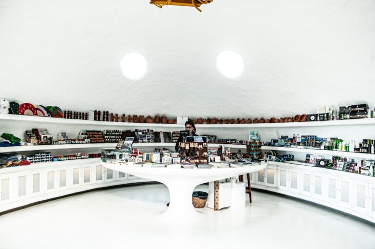 Top 10 cadeau-ideeën voor fans van strips en figuren